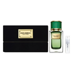 Dolce & Gabbana Velvet Cypress - Eau de Parfum - Duftprobe - 2 ml