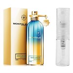 Montale Paris Aoud Lagoon - Eau de Parfum - Duftprobe - 2 ml