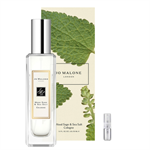 Jo Malone Wood Sage & Sea Salt - Eau de Cologne - Duftprobe - 2 ml 