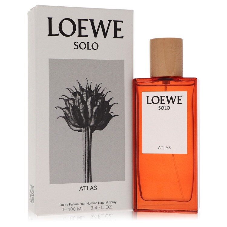 Solo Loewe Ella by Loewe - Eau De Parfum Rollerball 8 ml - für Frauen