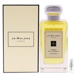 Jo Malone Amber & Lavender - Cologne - Duftprobe - 2 ml